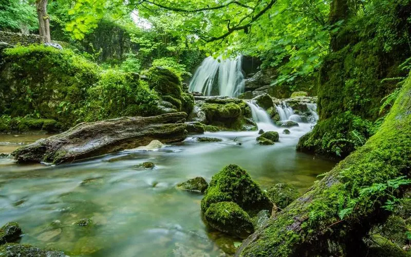 可靠性高质量